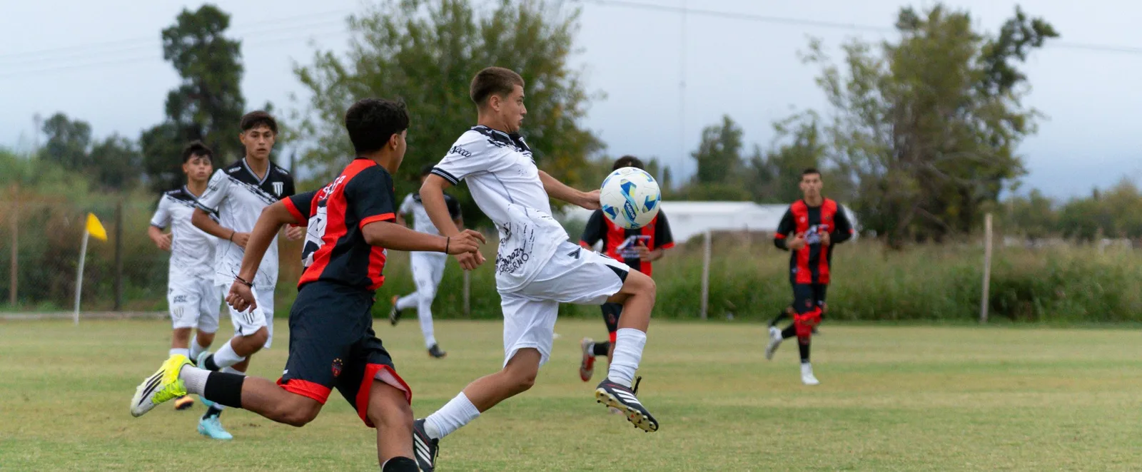 Youth soccer players competing for the ball